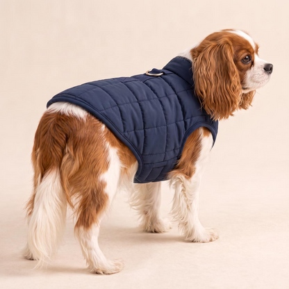 Toasty Pup Heated Vest