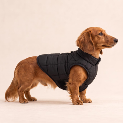 Toasty Pup Heated Vest